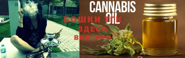 прущие грибы Алексеевка