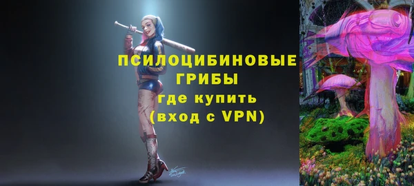 прущие грибы Алексеевка